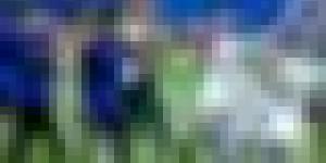احتفال بالانتصار أم تكريس للأزمة السياسية؟ الاتحاد الأرجنتيني يخلّد فوز منتخبه على إنجلترا بيوم وطني