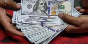 سعر الدولار في البنك الاهلي اليوم الثلاثاء 18 أغسطس 2026