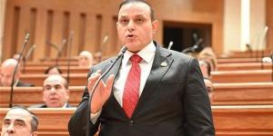 برلماني: توجيهات الرئيس السيسي بتحديث المناهج تدعم بناء نظام تعليمي عصري ومتطور