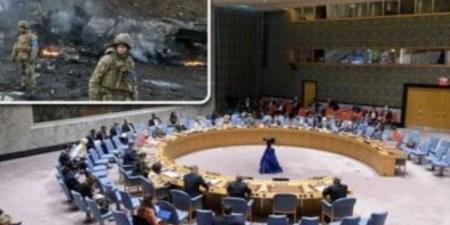 مندوب أمريكا بمجلس الأمن يطالب بإنهاء النزاع بين الإسرائيليين والفلسطينيين