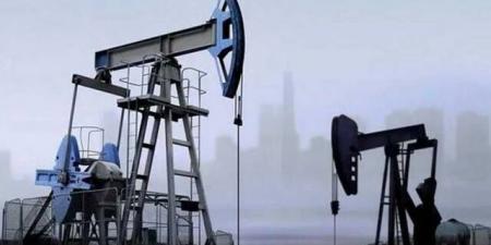 ارتفاع
      أسعار
      النفط
      في
      إغلاق
      الاثنين..
      و"برنت"
      فوق
      82
      دولار