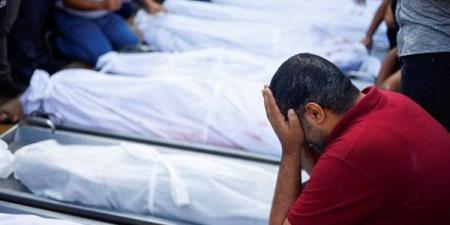 أحدث
      إحصاء
      لضحايا
      العدوان
      الإسرائيلي
      على
      غزة