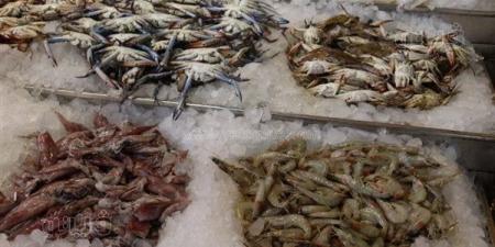 أسعار
      الأسماك
      اليوم،
      الكابوريا
      تسجل
      240
      جنيهًا
      في
      سوق
      العبور
      اليوم
      الجمعة