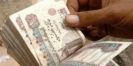 برلماني: زيادة الحد الأدنى للأجور تعكس حرص الدولة على تحسين معيشة المواطنين