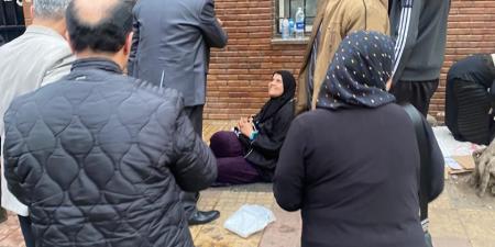 تحصين 36 ألف رأس في الحملة القومية ضد مرض الجلد العقدى في الأبقار بالدقهلية