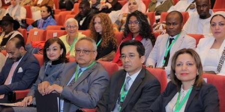 مدير مكتبة الإسكندرية يفتتح ندوة "فن الحياة"