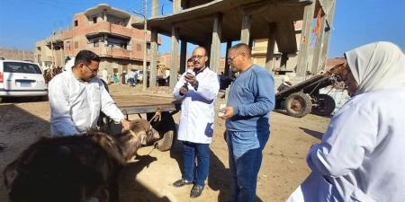 رئيس هيئة الخدمات البيطرية: فحص أكثر من 730 ألف رأس ماشية وطائر خلال فبراير