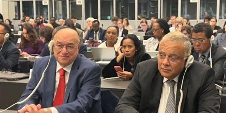 جمال الدين: لا نموذج واحد لحوكمة الفضاء الرقمي.. واحترام السياقات الوطنية ضرورة