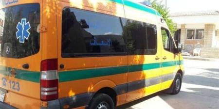 مصرع شخص وإصابة 9 آخرون بطريق أبوسمبل السياحي فى أسوان