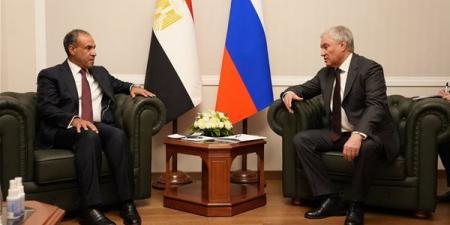 وزير الخارجية يلتقي رئيس مجلس الدوما الروسي