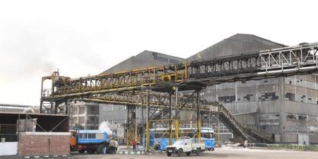 استمرار موسم استخراج وتكرير السكر بمصنعين في قنا