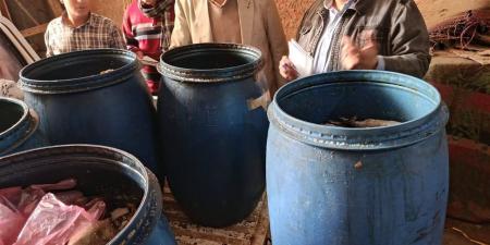 بيطري المنيا: ضبط 558.5 كيلو فسيخ فاسد داخل مخزن للأسماك المملحة بملوي