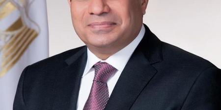 اﻷﺟﻮاء المصرية ﺑﺪﻳﻞ آﻣﻦ ﻳﺴﺘﻮﻋﺐ ﺣﺮﻛﺔ اﻟﻄﻴﺮان المحوَّلة