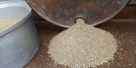 أسعار الأرز والدقيق في محافظة الغربية اليوم الأحد 5 إبريل 2026