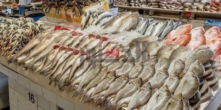 جهاز حماية البحيرات ينفي أي زيادات في أسعار الأسماك