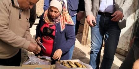 ضبط نصف طن أسماك مملحة فاسدة ومجهولة المصدر بمنوف قبل شم النسيم