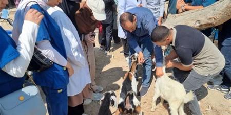 الخدمات البيطرية بالقليوبية تنفذ قافلة علاجية لدعم الثروة الحيواني