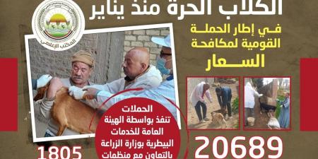 حملة قومية موسعة للسيطرة على الكلاب الحرة بأساليب إنسانية