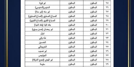 تحديث الحيز العمراني لـ114 عزبة بمركز كفر الدوار