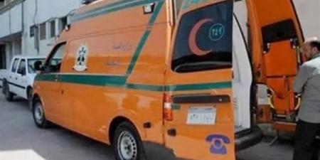 إصابة 5 أشخاص في انقلاب تروسيكل بشبراخيت