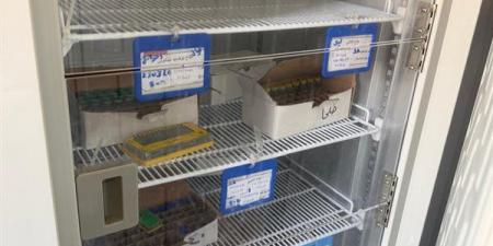 حملات تفتيشية مكثفة لإدارة الصيدلة على 93 منشأة صحية بالدقهلية