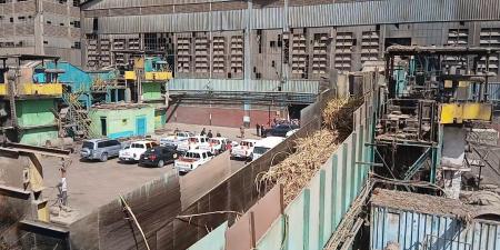 تفاصيل.. سبب تأخر صرف مستحقات المزارعين وموعد صرفها