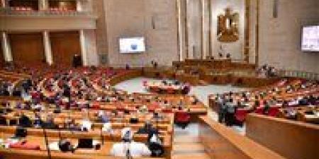 «السولار بيتباع في السوق السوداء».. طلب إحاطة في البرلمان لمواجهة التلاعب في تداول الوقود