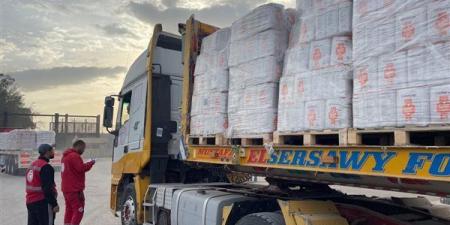 الهلال الأحمر المصري يدفع بـ 44 ألف سلة غذائية وأكثر من 177 ألف قطعة ملابس شتوية إلى غزة