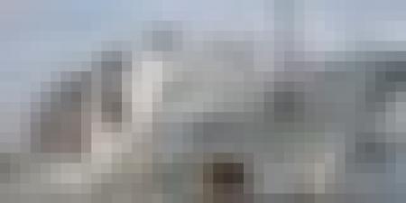 ميناء مستغانم يستقبل أزيد من 14 ألف رأس غنم قادمة من رومانيا