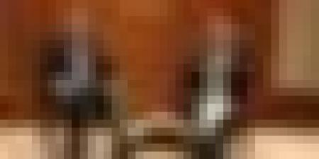 الجزائر وموريتانيا تعززان التعاون في قطاع النقل