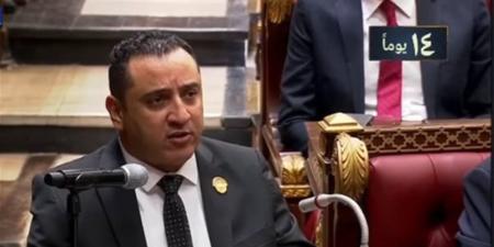 برلماني: مناقشات قانون احتكار السلع خطوة على طريق دعم استقرار الأسواق