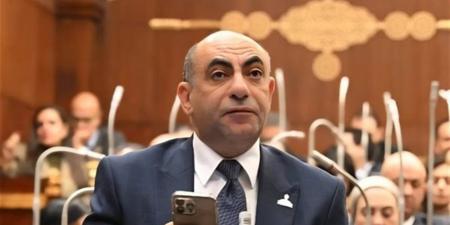 برلمانى: تحركات مصر بقيادة الرئيس السيسي تدعم أمن الخليج وتعيد التوازن للمنطقة