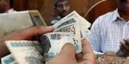 زيادة الأجور والمعاشات في مصر.. هل تنجح الحكومة في تخفيف الأعباء الاقتصادية؟