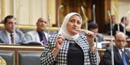 النائبة سناء السعيد: تمكين المرأة ركيزة أساسية لتحقيق التنمية الشاملة في مصر