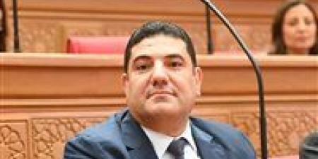 أحمد عبد المجيد: السيسي يقود جهود التهدئة ودعم تثبيت وقف إطلاق النار في إيران