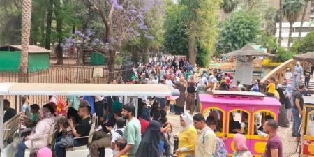 هل تفتح حديقة الحيوان في شم النسيم 2026؟ أبرز أماكن الفسح البديلة في القاهرة والجيزة