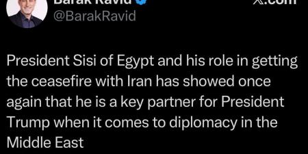 صحفي إسرائيلي: الرئيس السيسي أظهر أنه شريك ترامب عندما يتعلق الأمر بالدبلوماسية في الشرق الأوسط