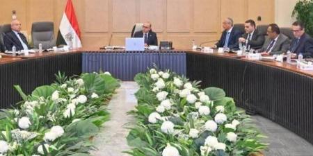 وزير الاستثمار يترأس اجتماع مجموعة العمل المعنية بالعلاقات المصرية الكورية