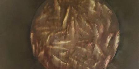 التحفظ على 600 كيلو فسيخ وسردين غير صالحة للاستهلاك بالدقهلية