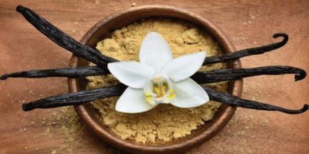 فوائد صحية مذهلة للفانيليا.. تعرف عليها