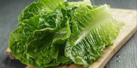 مع اقتراب شم النسيم.. 7 فوائد لتناول الخس