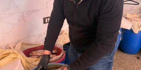 محافظ الغربية يتابع حملات الطب البيطري.. وضبط 3.3 طن أسماك ولحوم فاسدة