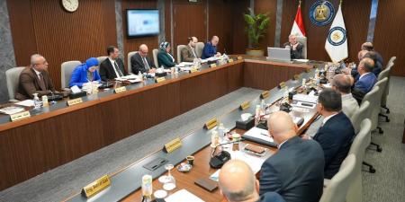 “صان مصر” تحقق 6.6 مليار جنيه تعاقدات بالدول العربية في 2025 بنمو 85%