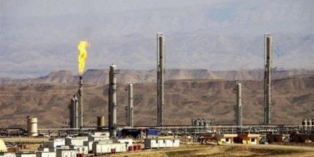 محمد موسى: اكتشاف "إيني" يضع مصر على خريطة الطاقة العالمية