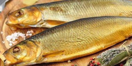 نهلة عبدالوهاب: الاعتدال في تناول الفسيخ والرنجة يضمن السلامة بشم النسيم