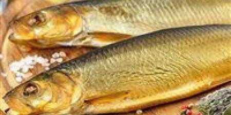 يصل لـ45 جنيهًا.. التموين تطرح الرنجة قبل شم النسيم بأسعار مخفضة