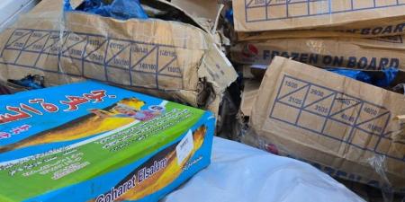 ضبط 120 كيلو أسماك ماكريل منتهية الصلاحية بالفيوم