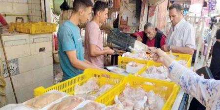 أسعار الفراخ اليوم السبت 11 أبريل 2026 تشهد اختلافًا ملحوظًا