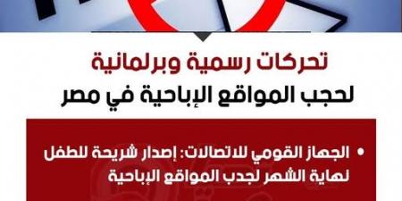 تحركات رسمية وبرلمانية لحجب المواقع الإباحية في مصر