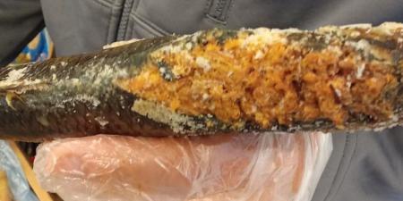 ضبط 60 كيلو رنجة غير صالحة للاستهلاك بالفيوم